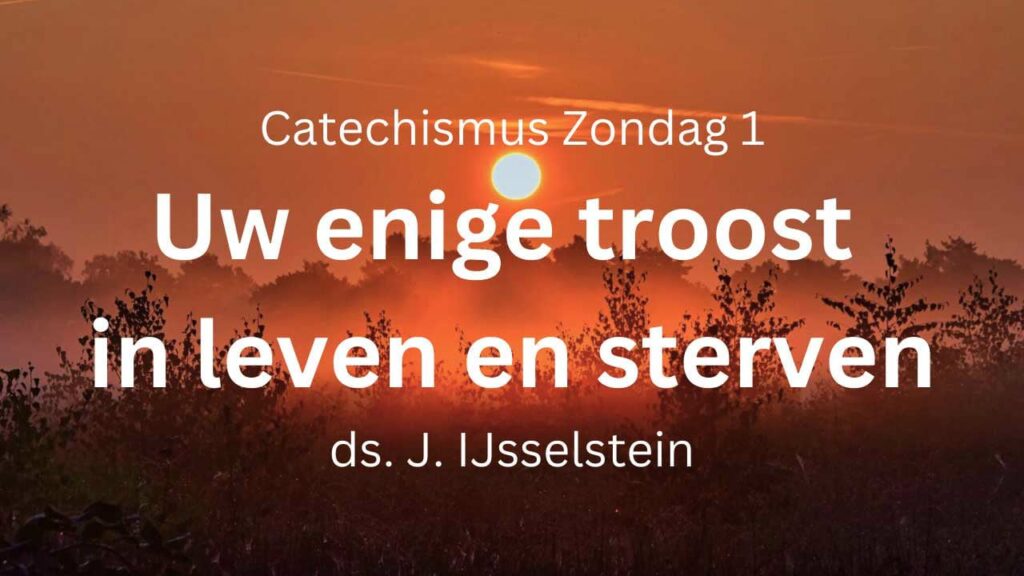 Zondag 1: Enige troost