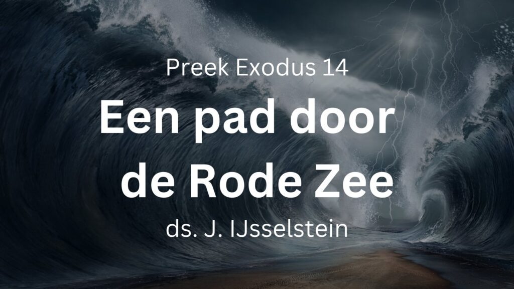 Door de Rode Zee